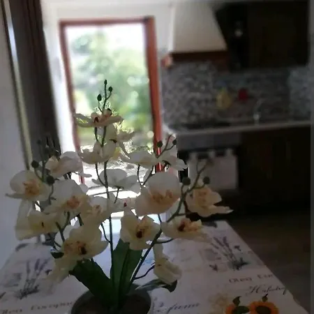 La Gallizza Appartement