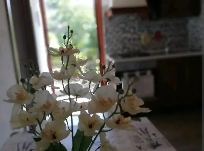 La Gallizza Appartement